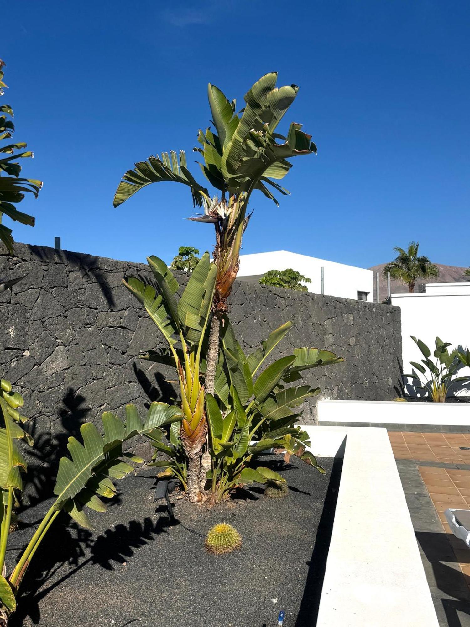 Villa Dedalos - A Luxury Large Villa With A Heated Pool In Puerto Calero Exterior foto